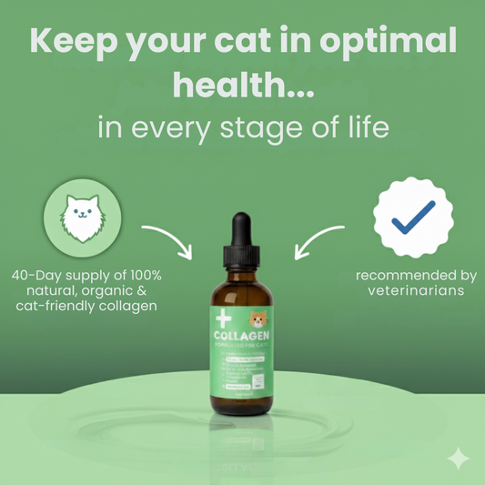 Premium Collagen - Helps Your Cat Stay Active & Pain-Free